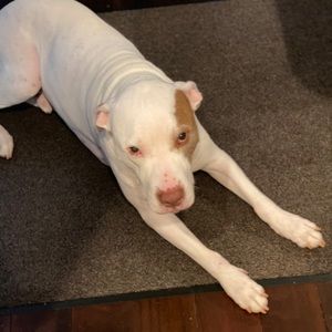 Meet your Posher, Seth